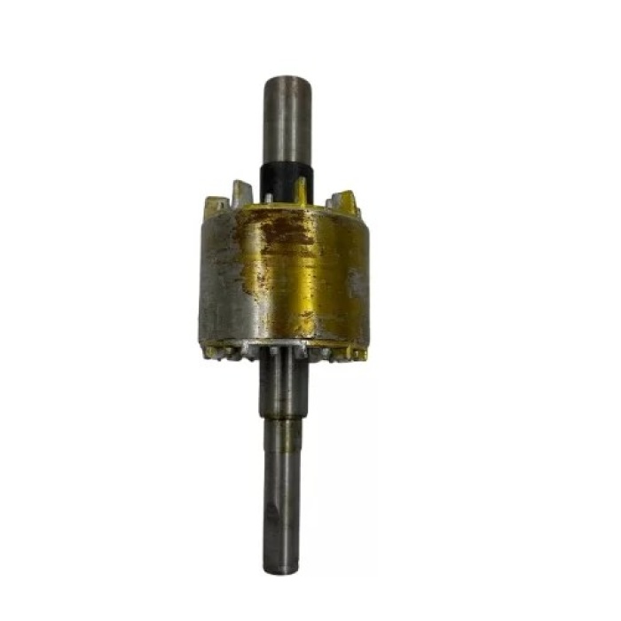 25LT - 50LT KOMPRESÖR ROTOR (Lisinya)