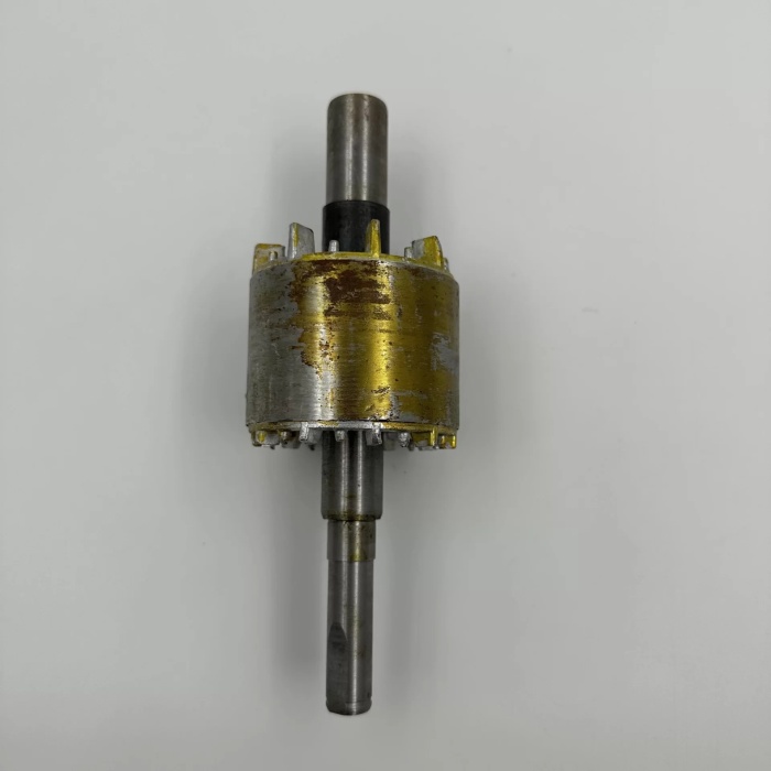 25LT - 50LT KOMPRESÖR ROTOR (Lisinya)