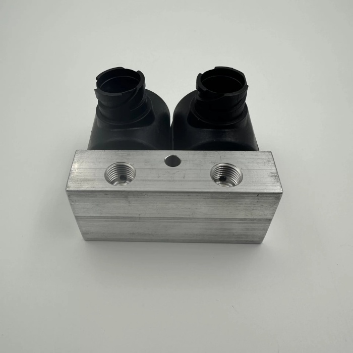 1/4 12V / 24V / İKİLİ DAMPER PNÖMATİK VALF (Lisinya)