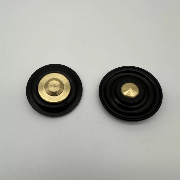 Solenoid Valf Gm Nbr Diyaframı 1/2 (Lisinya)