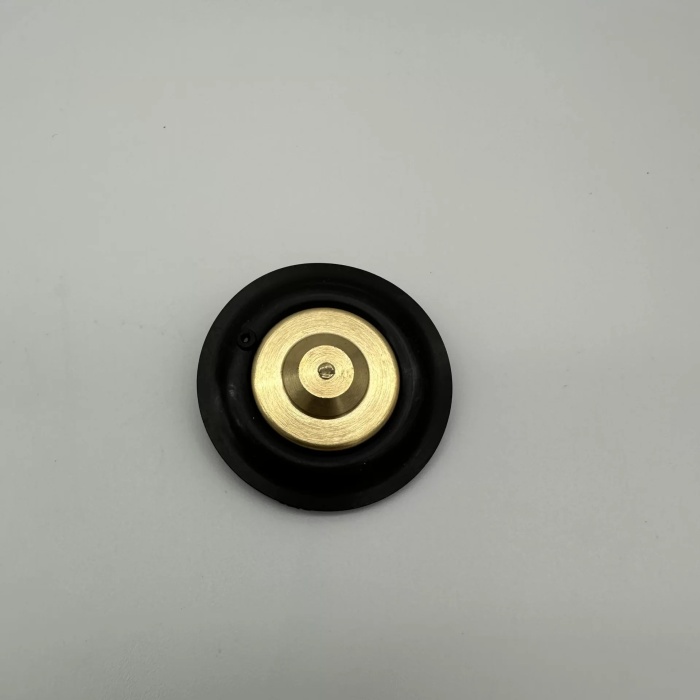 Solenoid Valf Gm Nbr Diyaframı 1/2 (Lisinya)