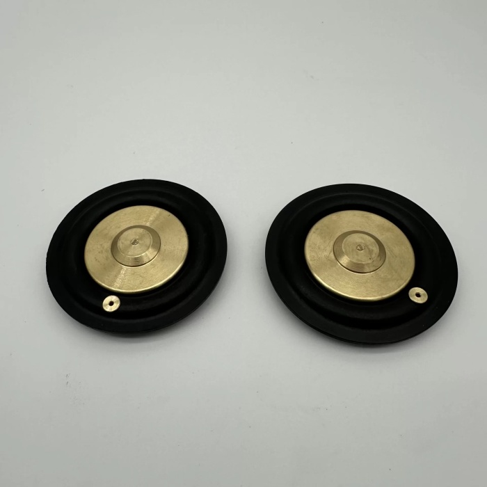 Solenoid Valf Gm Nbr Diyaframı 1 inç (Lisinya)
