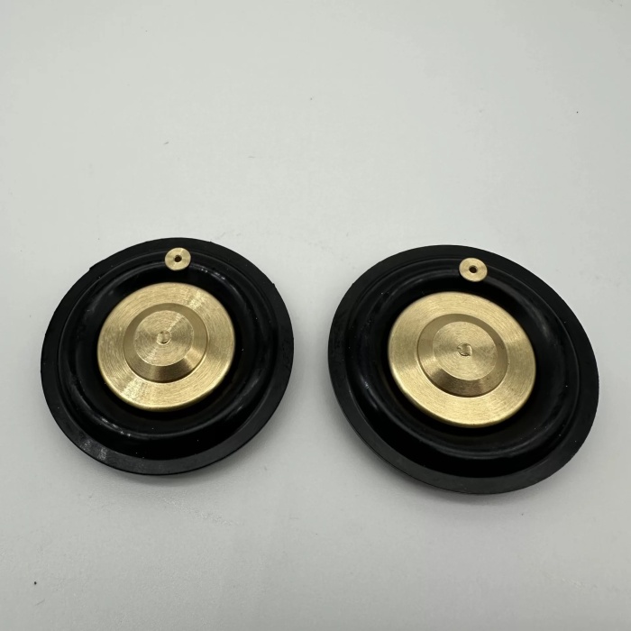Solenoid Valf Gm Nbr Diyaframı 1 inç (Lisinya)