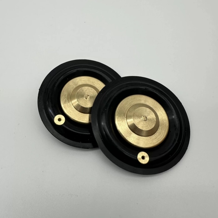 Solenoid Valf Gm Nbr Diyaframı 1 inç (Lisinya)