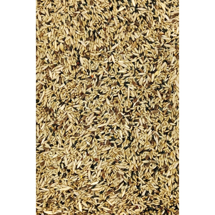 Kanarya Karışık Kuş Yemi Doğal Taze - 1 kg