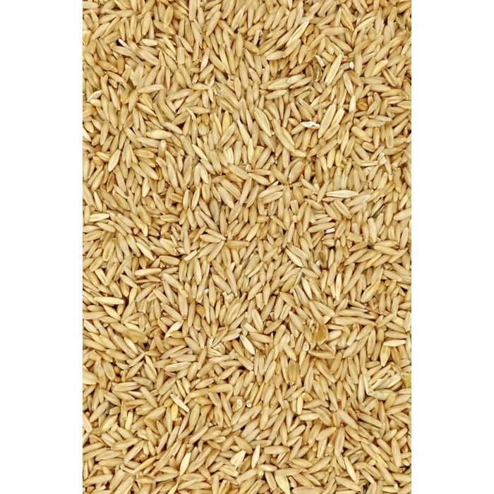 Tüm Kuşlar İçin Doğal Taze Soyulmuş İç Yulaf - 10 kg