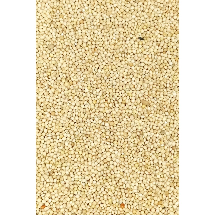 Ak Darı Sade Tozsuz Doğal Taze Kuş Yemi - 3 kg