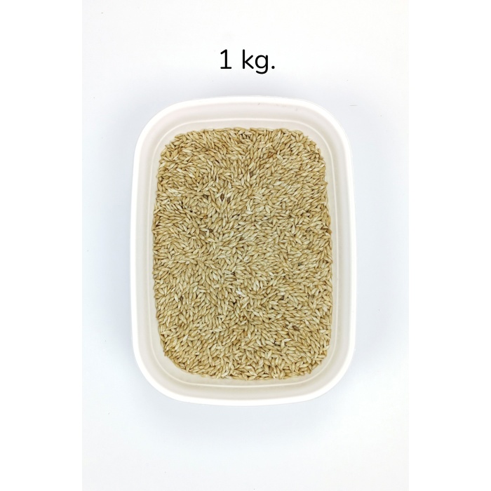 Doğal Taze Kanarya Sade Kuş Yemi - 1 kg