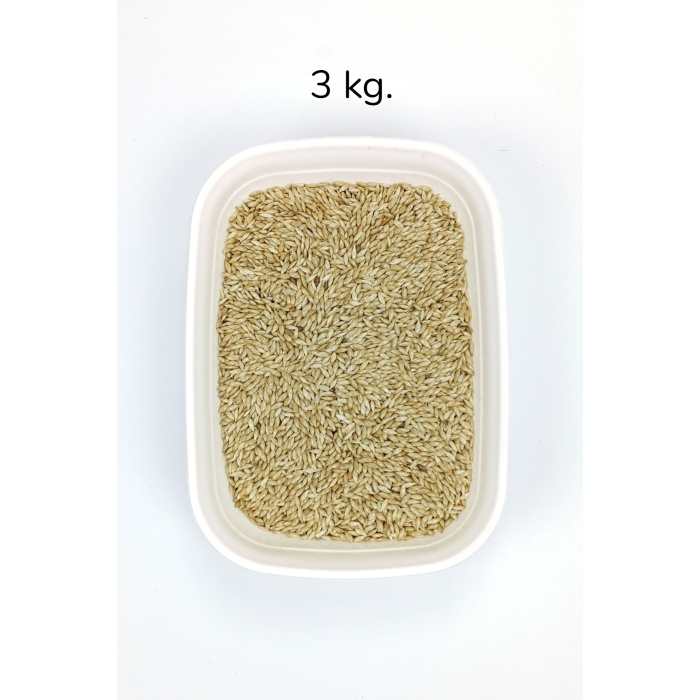 Doğal Taze Kanarya Sade Kuş Yemi - 3 kg