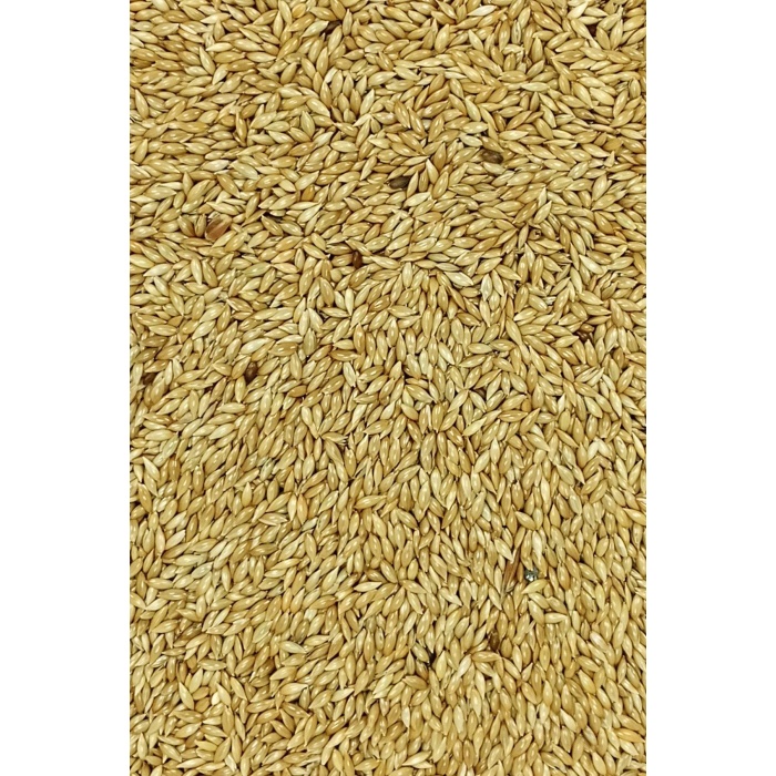 Doğal Taze Kanarya Sade Kuş Yemi - 5 kg