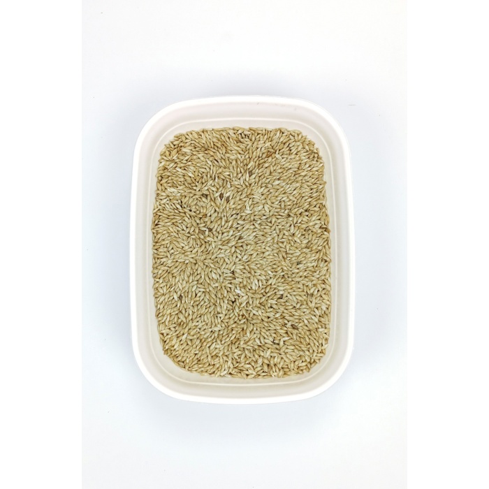 Doğal Taze Kanarya Sade Kuş Yemi - 500 gr