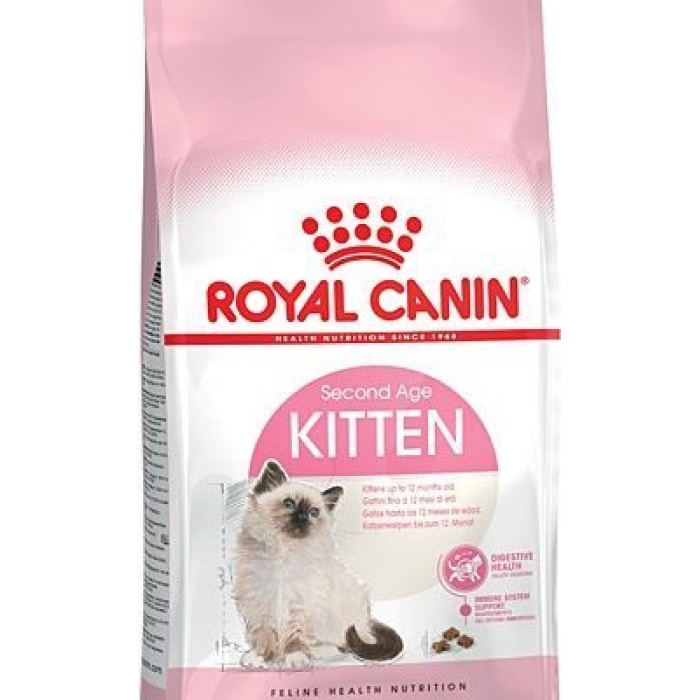 36 Yavru Kedi sı 2 KG