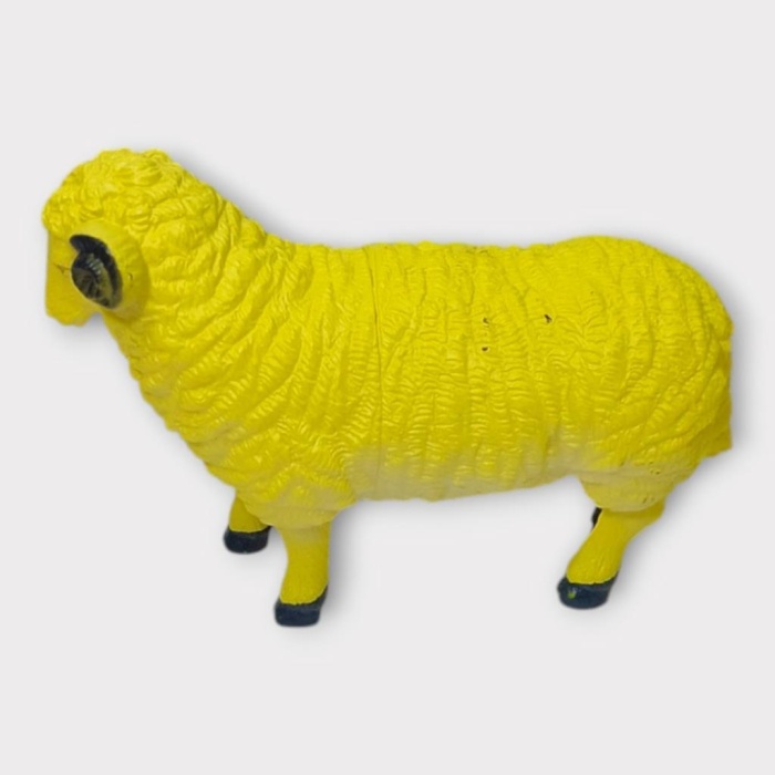 Çiftlik Hayvanları - Koyun (Lisinya)