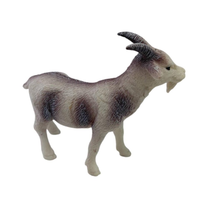 Çiftlik Hayvanları - Keçi (Lisinya)