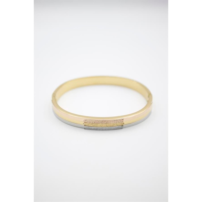 Çelik Bilezik - ÇOK RENKLİ