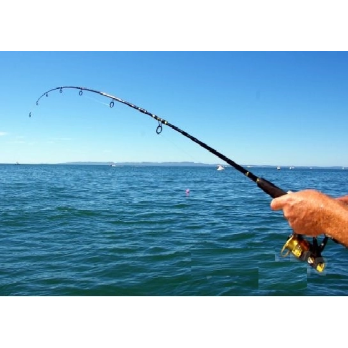 Misina 300m Polietilen Microfiber 2.0 Ip Misina Yeşil ( Lisinya )