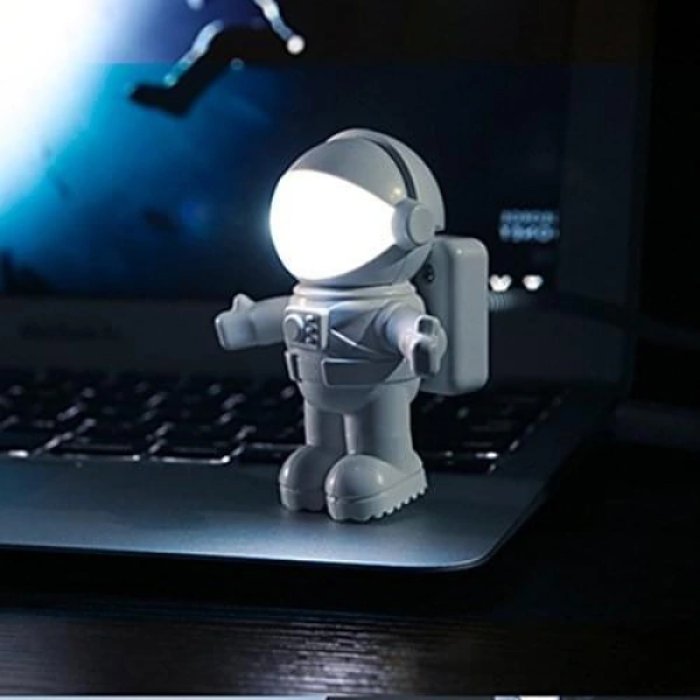 Usb Astronot Lamba ( Lisinya )