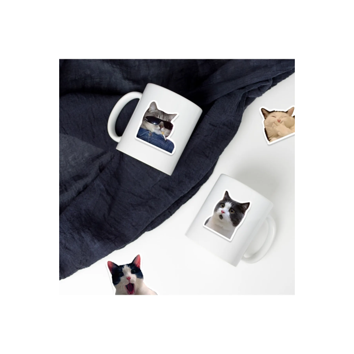 Çılgın Kediler Macbook Notebook Tablet Telefon Ajanda Laptop Defter Sticker Seti ( Lisinya )