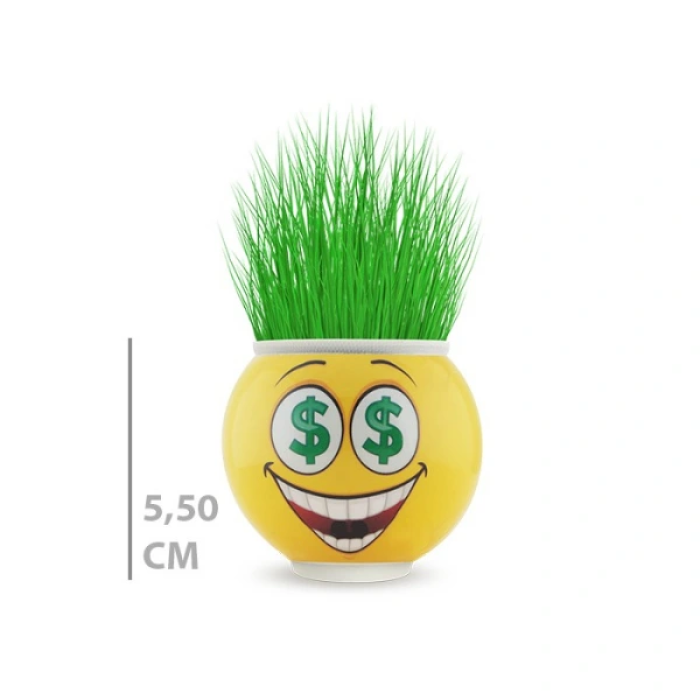 Çim Adam Saksı Emoji Figürlü 1 Adet ( Lisinya )