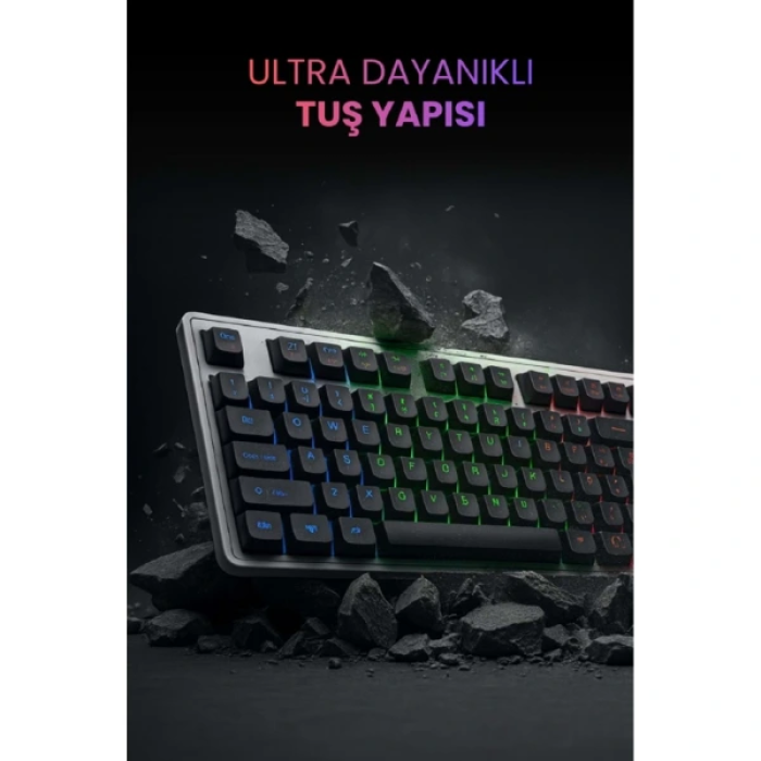 Kablolu Işıklı Gaming Standart Türkçe Q Klavye Ve Mouse Seti ( Lisinya )