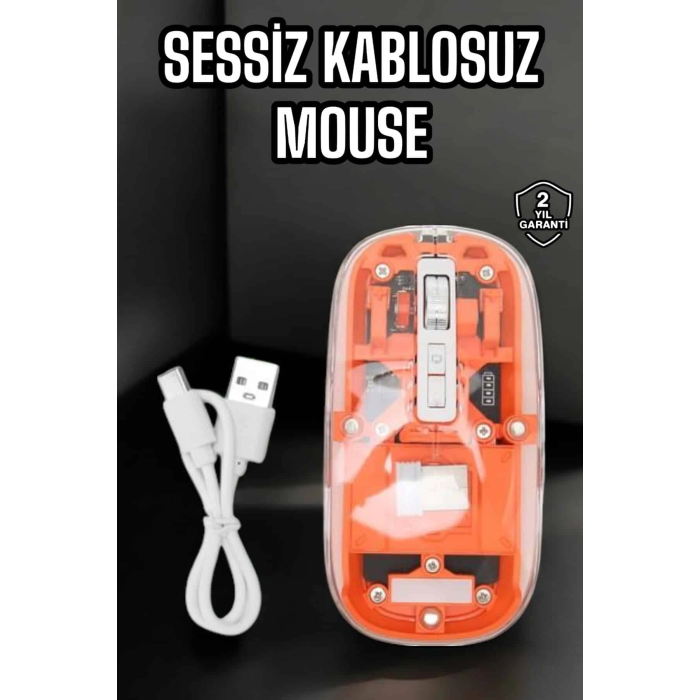 Kablosuz Mouse Fare 5.0 Bluetooth Bağlantılı Usb Girişli ( Lisinya )