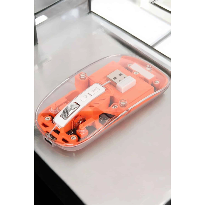 Kablosuz Mouse Fare 5.0 Bluetooth Bağlantılı Usb Girişli ( Lisinya )