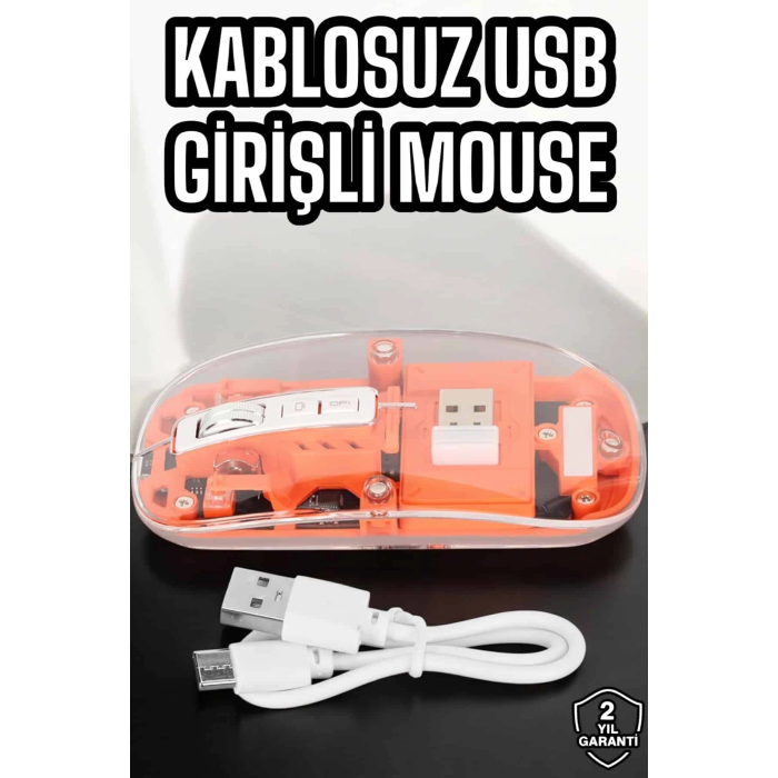 Fare Mouse Çift Modlu Kablosuz Bağlantılı 2.4ghz Destekli ( Lisinya )