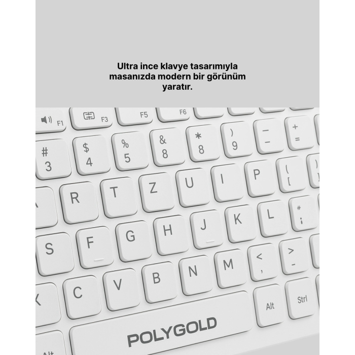 Pg-8040 Klavye Ve Mouse Seti ( Lisinya )