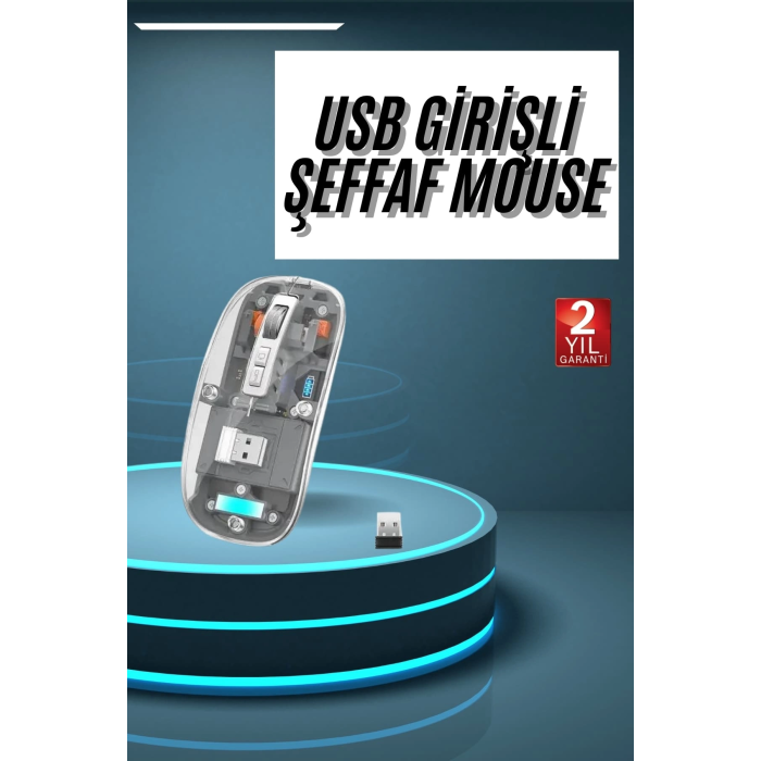 Kablosuz Mouse Fare Şarjlı Bluetooth Wireless Çift Modlu Sessiz ( Lisinya )