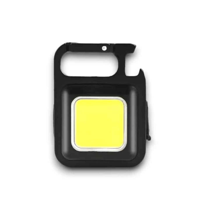 Taşınabilir Işık ( Lisinya )