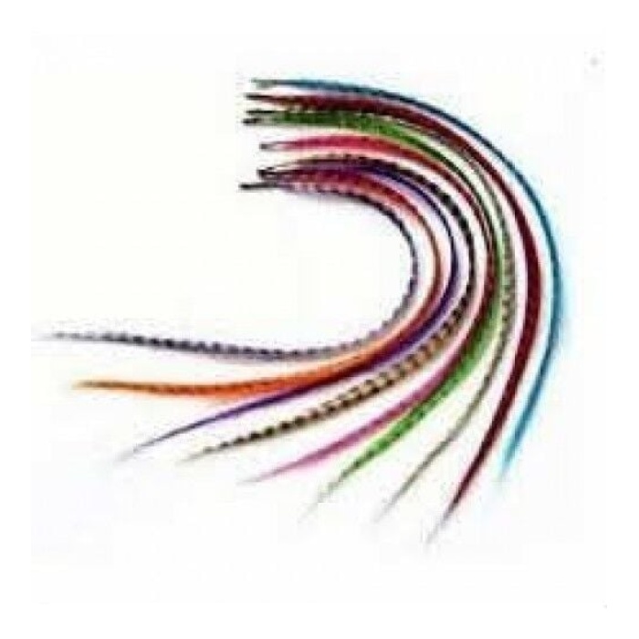 Hair Feather Saç Tüyü - Asorti -