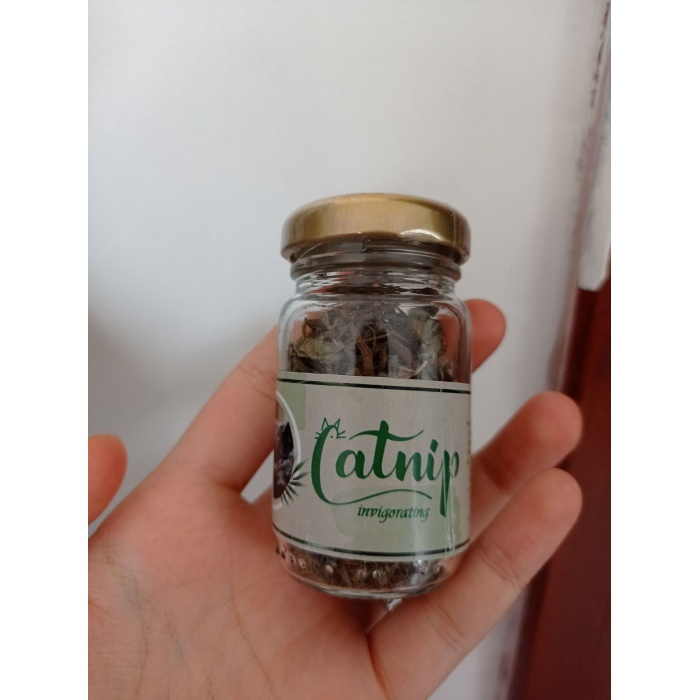 Catnip Doğal Kedi Otu - Kedi Nanesi -