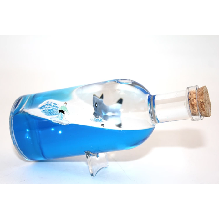 Şişe İçinde Batmayan Gemi Alk3204 -