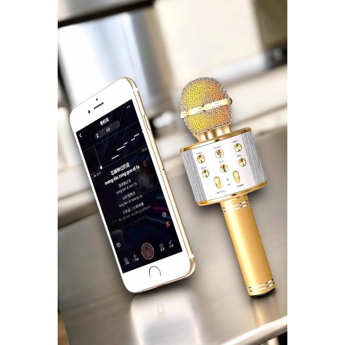 Şarjlı ve Uzun Pil Ömürlü Karaoke Mikrofon USB Bellek Destekli, Profesyonel Ses -