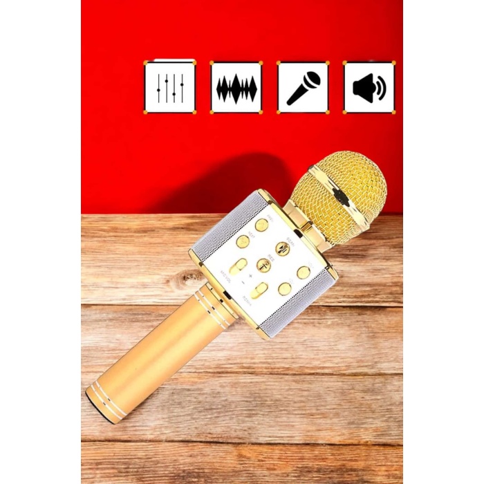 Şarjlı ve Uzun Pil Ömürlü Karaoke Mikrofon USB Bellek Destekli, Profesyonel Ses -