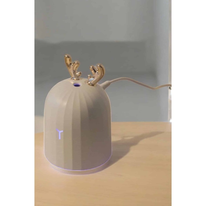 Aromaterapi Hava Temizleyici Buhar Makinesi Taşınabilir Şarjlı -