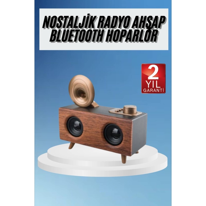Gramafon Radyo Bluetooth Hoparlör Nostaljik Radyo FM Radyo -