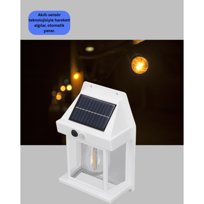 Güneş Enerjili Duvar Lambası BK888 -