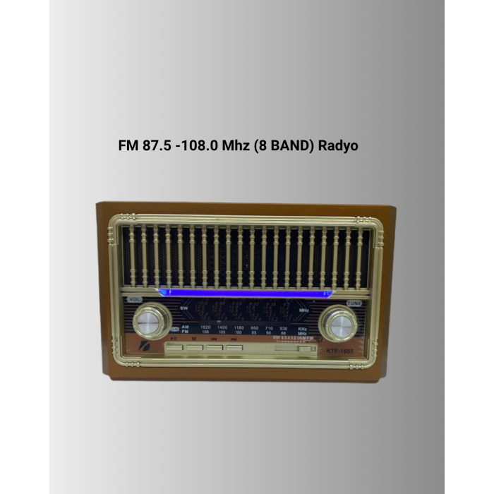 USB ve Hafıza Kart Girişli Radyo Hoparlör -