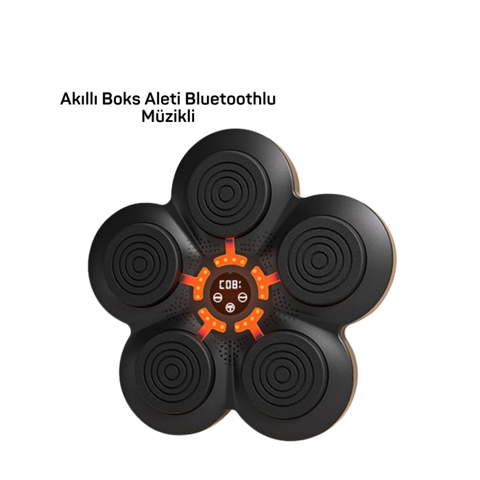 MÜZİK BOX MAKİNESİ -