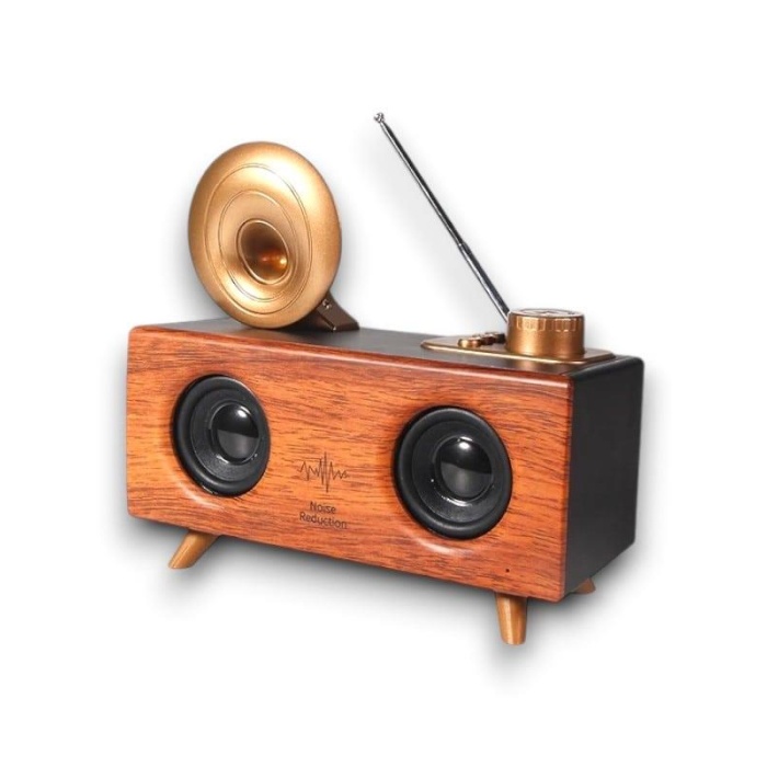 B6 SPEAKER HOPARLÖR -