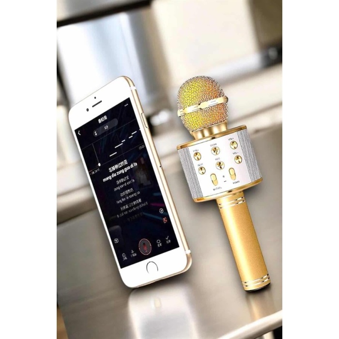 Şarjlı ve Uzun Pil Ömürlü Karaoke Mikrofon USB Bellek Destekli, Profesyonel Ses -