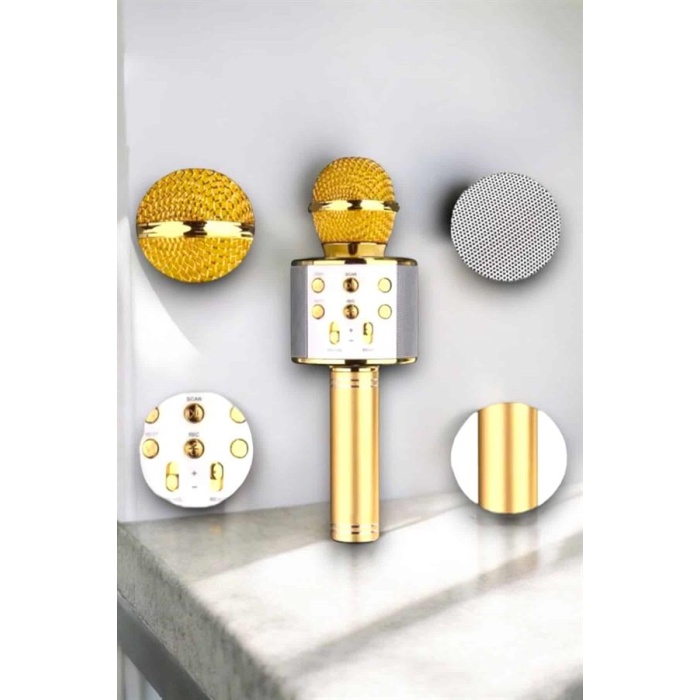 Taşınabilir Bluetooth Karaoke Mikrofon: Hafıza Kart Girişli, Etkileyici Performans -