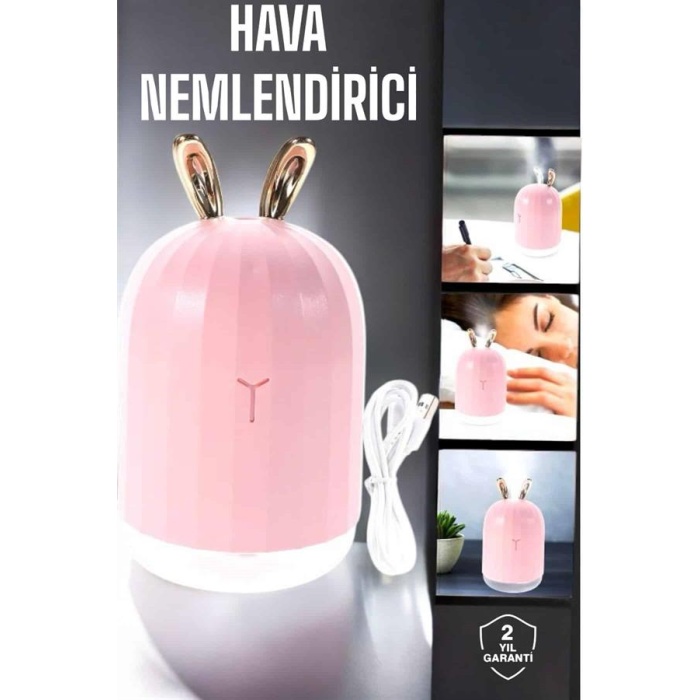 Aromaterapi Hava Temizleyici Buhar Makinesi Taşınabilir Şarjlı -