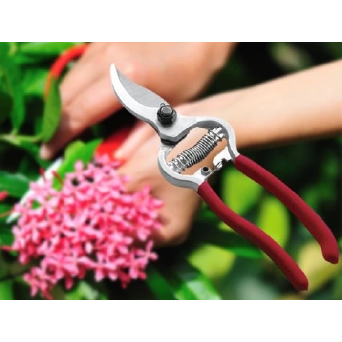 Bağ Makası - Bahçe Ağaç Dal Budama Makası ( Lisinya )