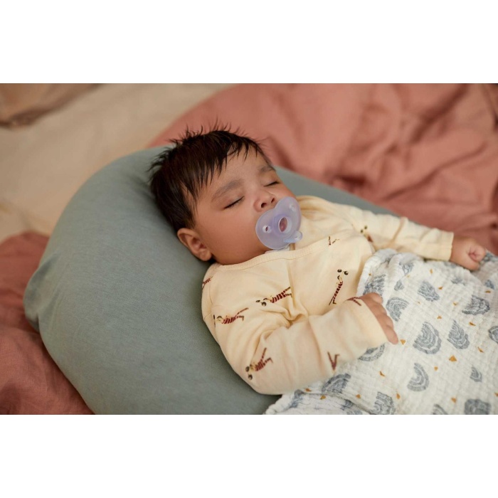 Philips Avent Soothie Ortodontik Saklama Kutulu 2li Emzik 0-6 Ay - Erkek