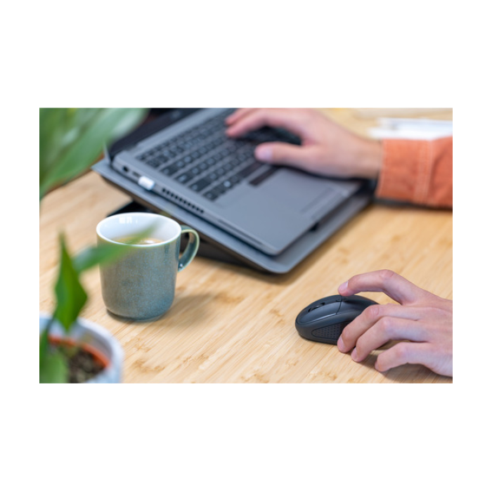 Trust 24796 Primo Kablosuz Mouse-Mavi