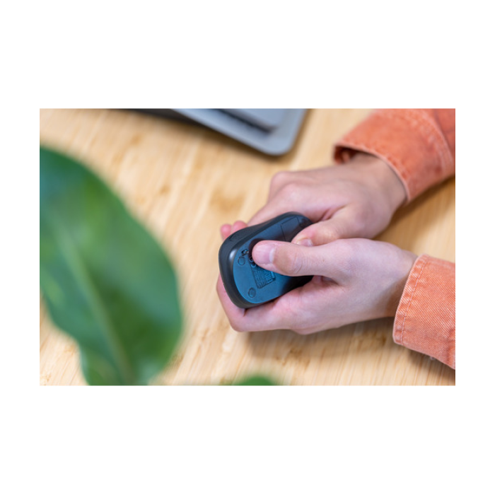 Trust 24796 Primo Kablosuz Mouse-Mavi