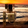 Yves Saint Laurent Libre-Portro 50ml.