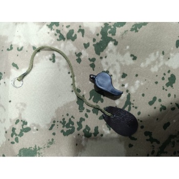 Düdük  Denetleme  Asayiş